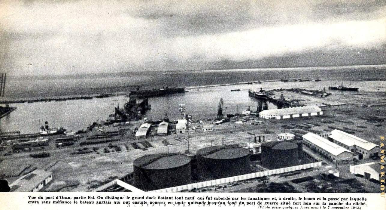 PO e- 492.jpg